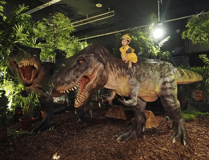 New singapore dinosaur park singapore Dinoland with 20 life-sized animatronic dinosaurs that roar!