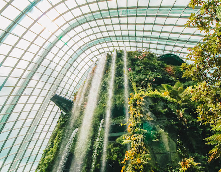 waterfall at cloud forest in Gardens by the Bay