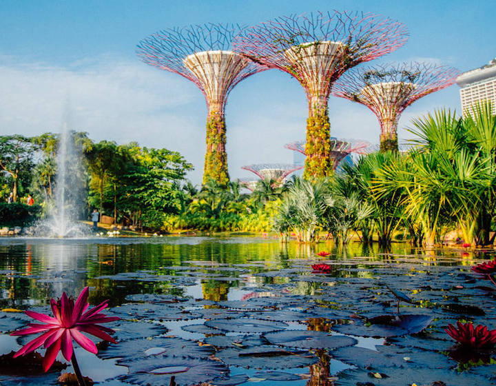 Dragon & Kingfisher Lakes at Gardens by the Bay Supertrees and Flowers