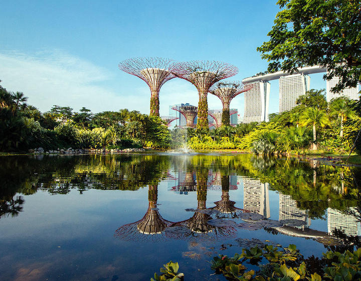 Dragonfly & Kingfisher Lakes at Gardens by the Bay