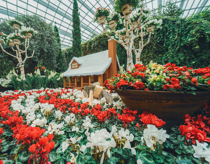 Flower Dome at Gardens by the Bay with Little House 