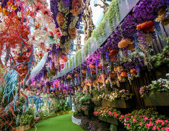 Flower Fantasy at Gardens by the Bay