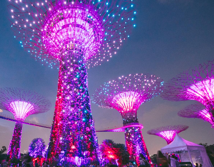 Gardens by the Bay Light Show Garden Rhapsody