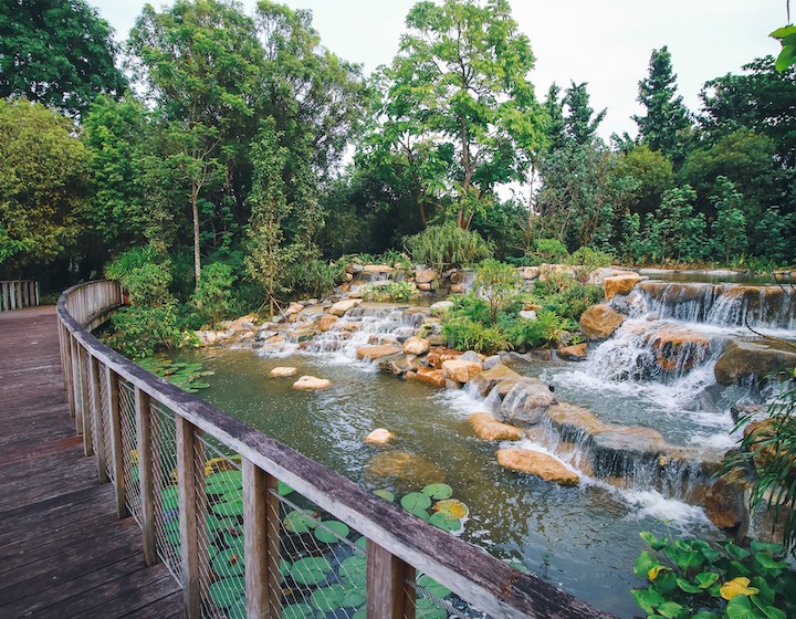 Kingfisher Wetlands at Gardens by the Bay