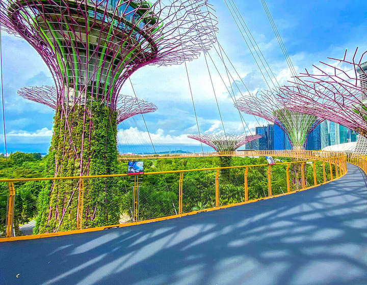 OCBC Skyway at Gardens by the Bay