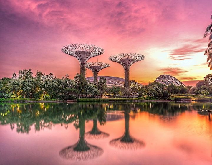 Gardens by the Bay Waterfront and Sunset