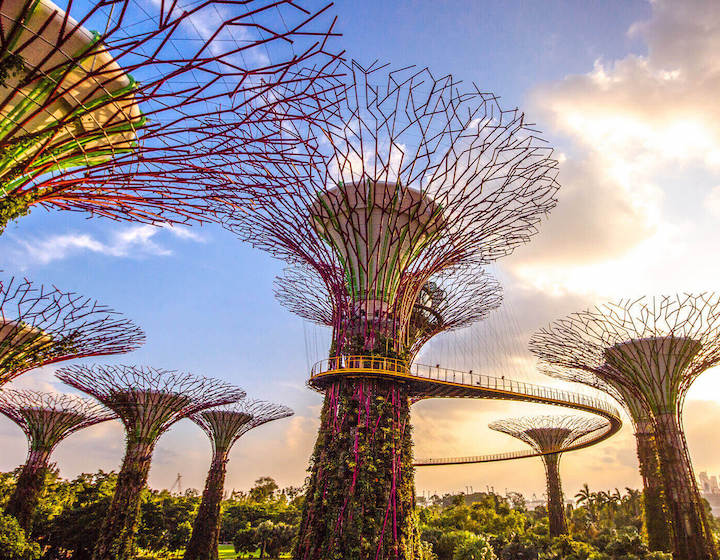 Supertree Grove at Gardens by the Bay with Sunset