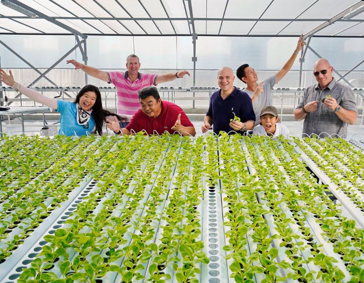 vegetable farms in Singapore - fruit farms in Singapore - ComCrop urban farm