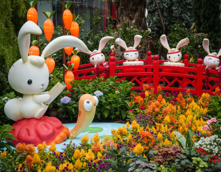 CNY Events - Gardens by the Bay Dahlia Dreams