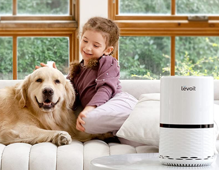 Levoit LV H132 Air Purifier Review: Your Key to Clean and Fresh Indoor Air!  