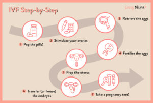 IVF in Singapore Step By Step Guide