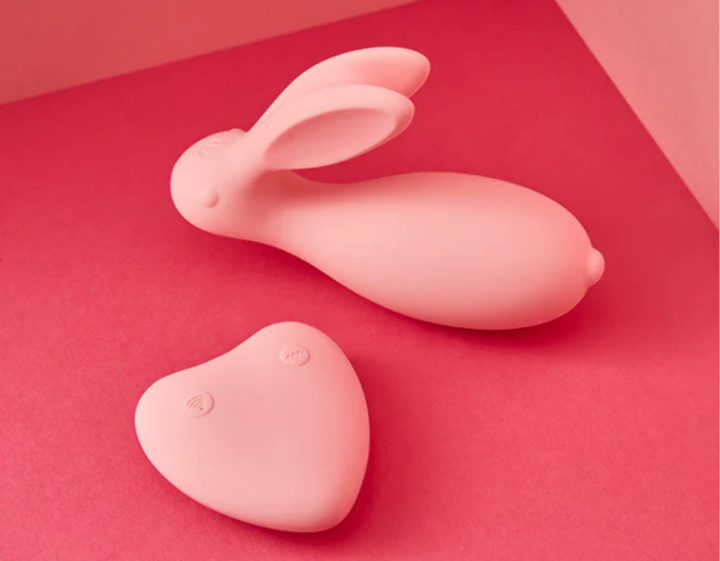 sex toy singapore - Hedonist Mr Bunny vibrator