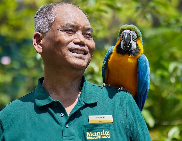best deals and promos singapore bird paradise mandai