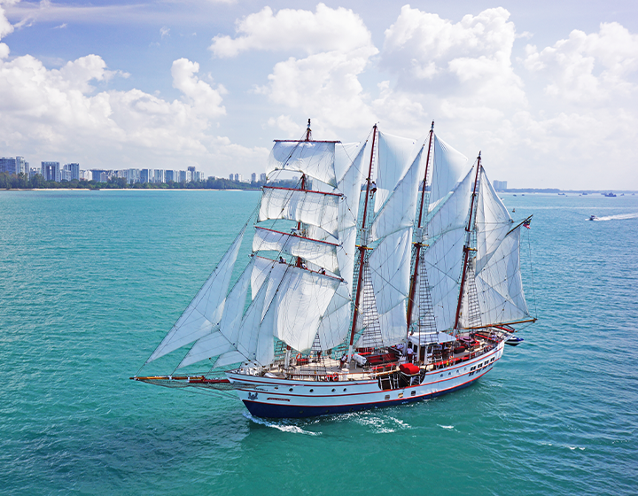 Team Bonding Activities Singapore TallShip The Royal Albatross Cruise