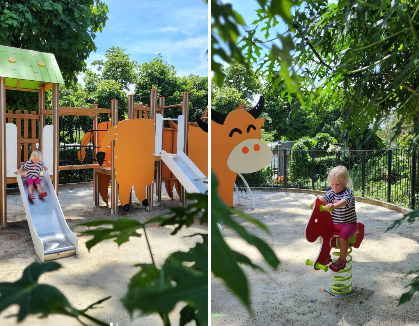 kid friendly restaurants and cafes singapore open farm community outdoor seating playground