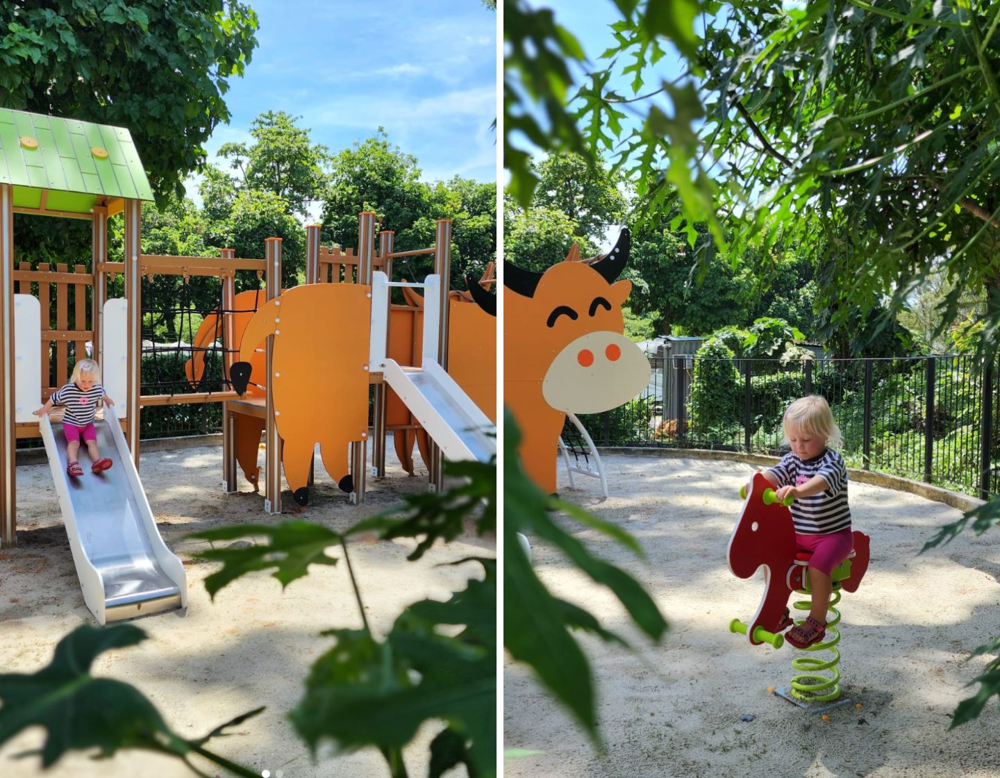 kid friendly restaurant singapore kid friendly cafe singapore open farm community outdoor seating playground