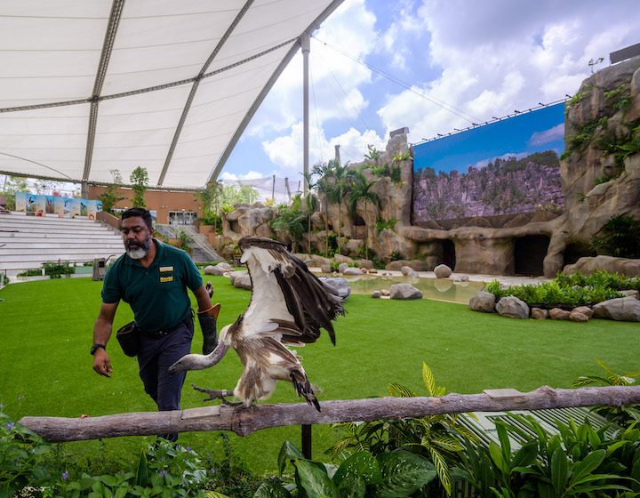 bird paradise Timings for Shows at Bird Paradise