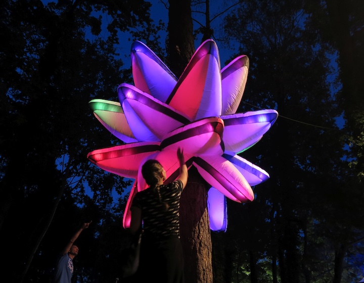 i light singapore 2024 - hidden garden - interactive light installations