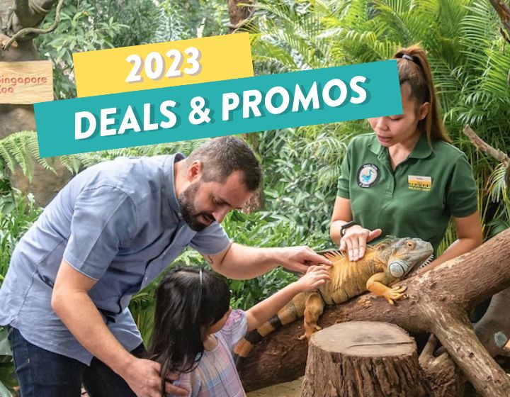 best deals and promos singapore singapore zoo
