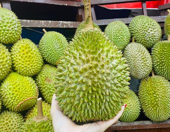 durian delivery singapore durian culture