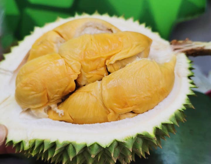 durian delivery singapore kungfu durian