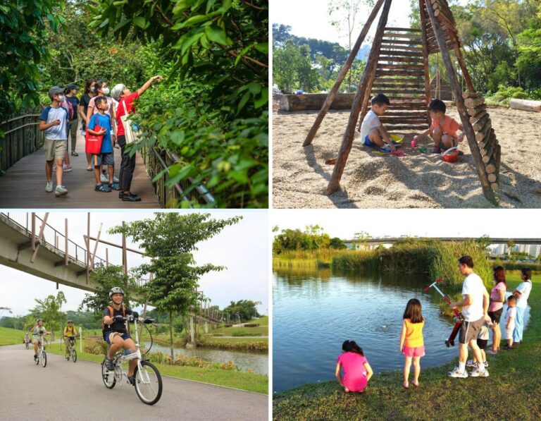 best parks for kids in singapore include jacob ballas children's garden at the singapore botanic gardens