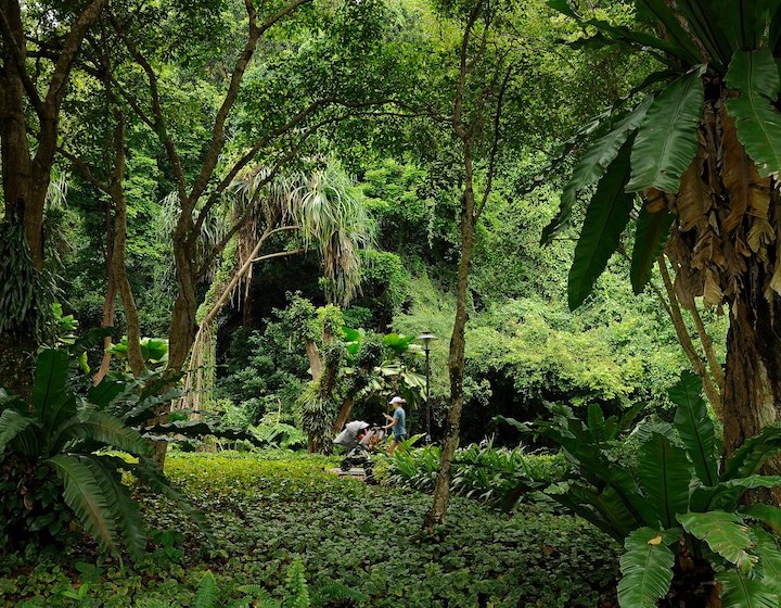 parks in singapore labrador nature park 