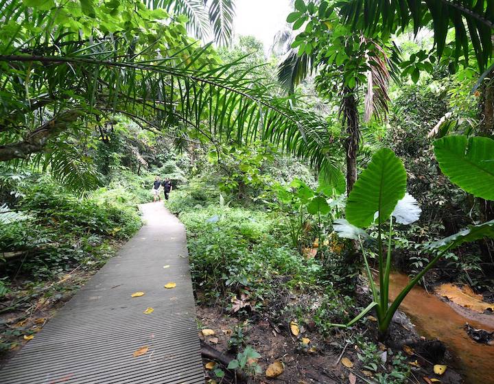 parks in singapore windsor nature park