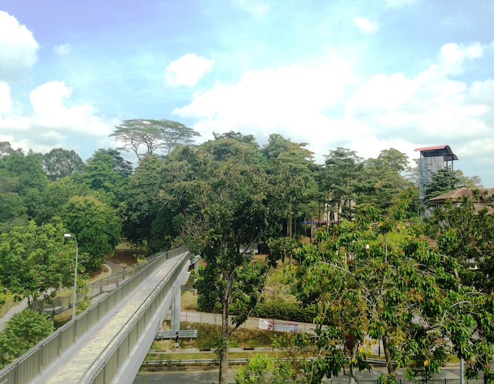 parks in singapore yishun park