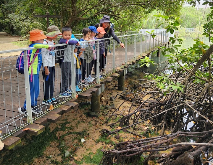 forest school singapore outdoor school singapore