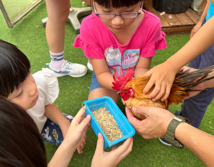 year-end holiday camps singaporeCity Sprouts