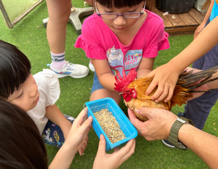 year-end holiday camps singapore City Sprouts