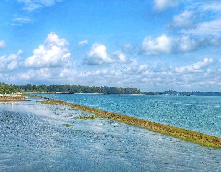 Changi Bay Point - coastline