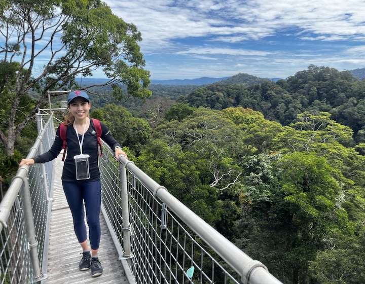 overseas mama in Brunei - Karen Williams canopy walk
