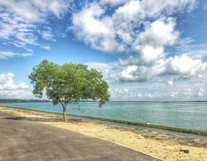 Changi Bay Point - Jeju-like views