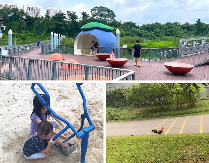 kid-friendly guide to sengkang - sengkang riverside park