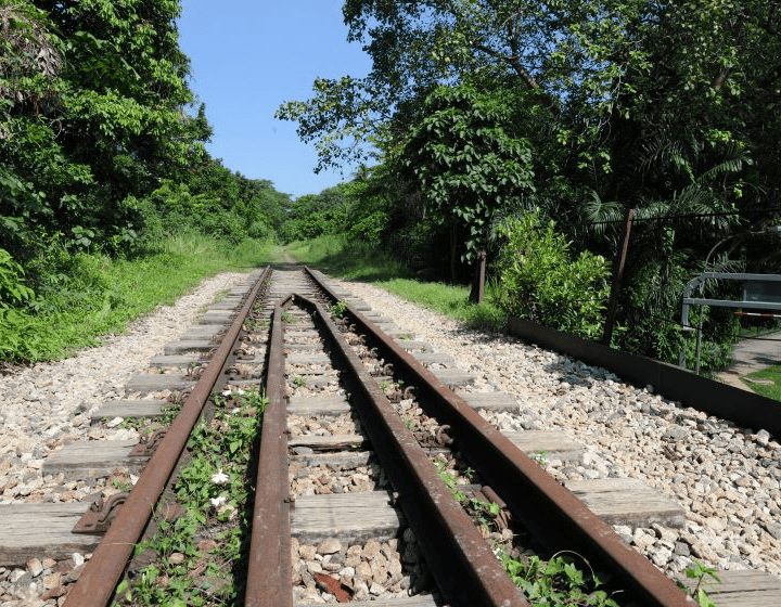 rail corridor hiking in singapore