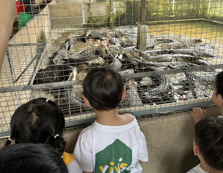 animal farm singapore - long kuan hung crocodile farm