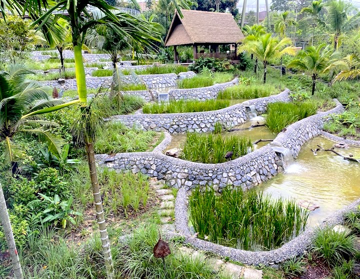bird paradise jurong bird park aviary 