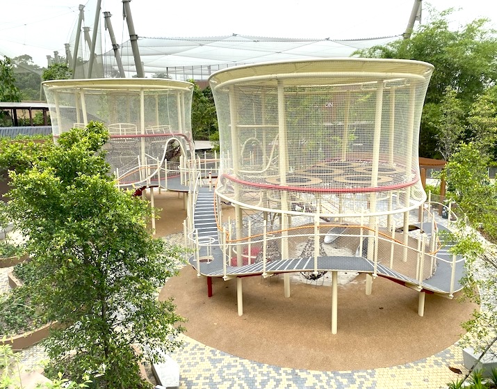 bird paradise jurong bird park singapore - treetop play 