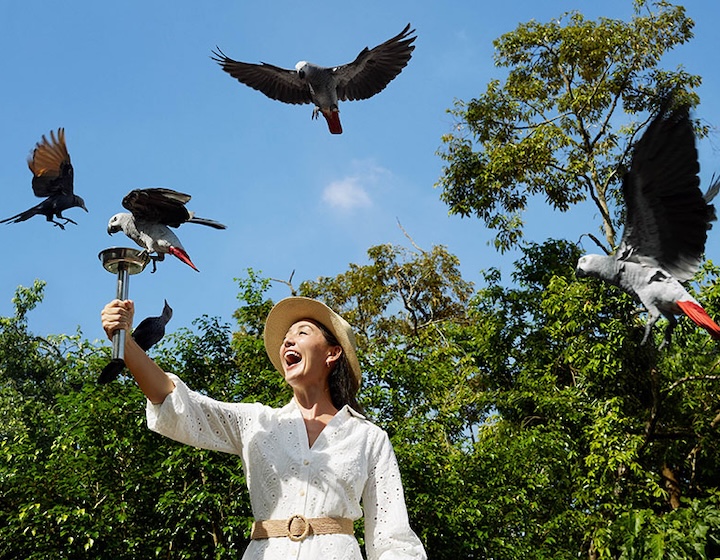 bird paradise singapore - tickets, bird feeding