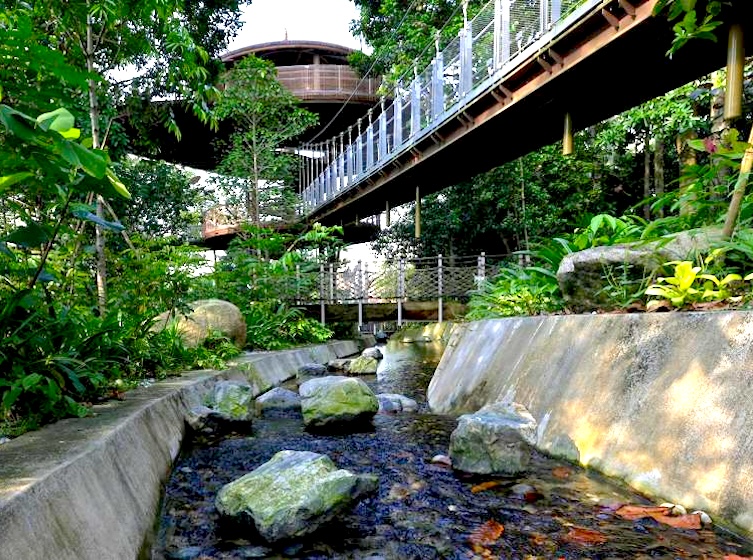 bird paradise singapore - heart of africa aviary