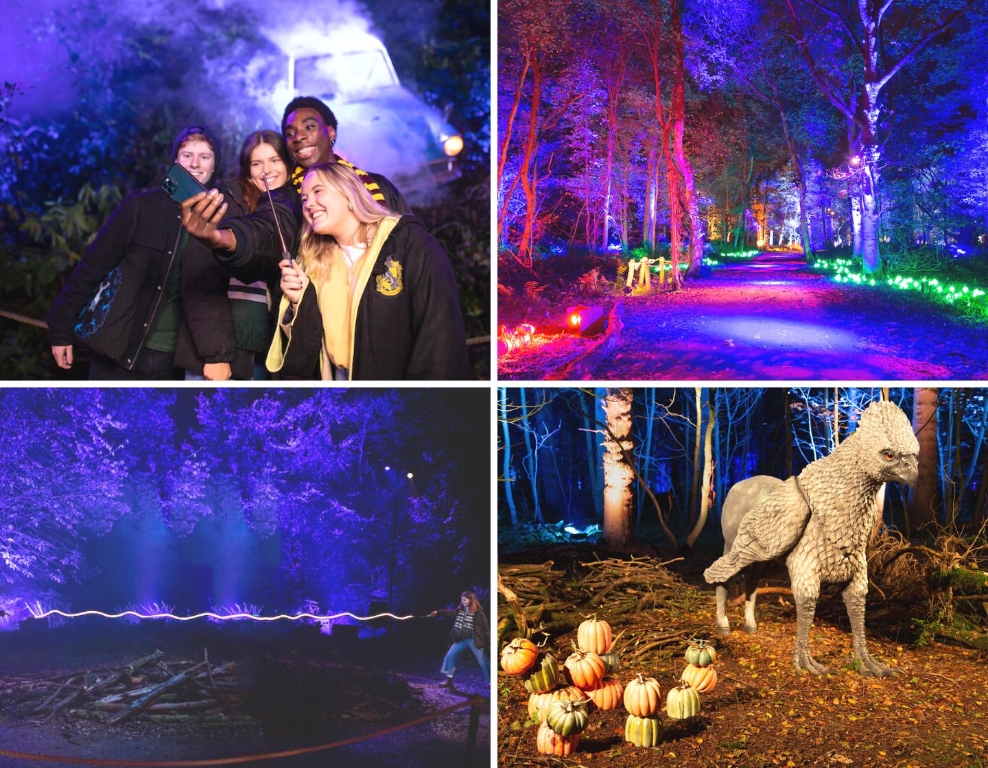 Harry Potter: A Forbidden Forest Experience Comes to Sentosa!