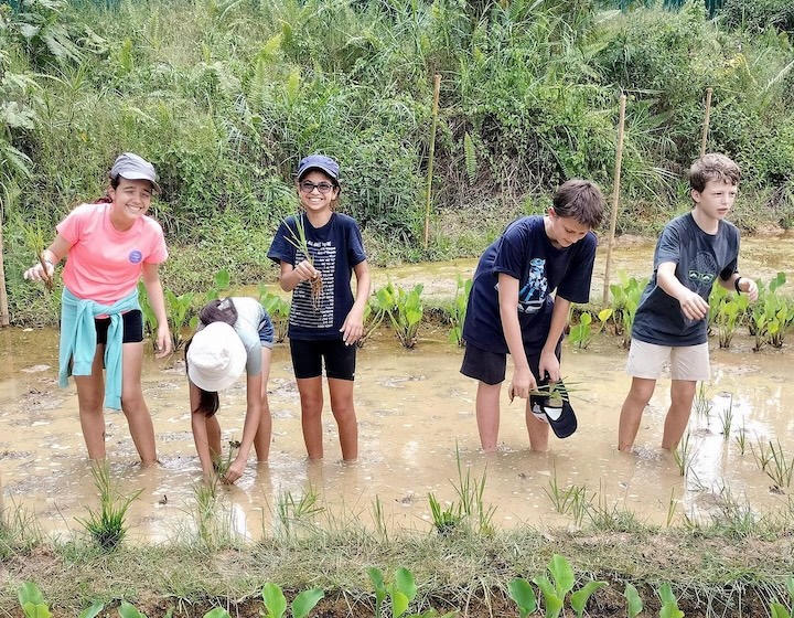 International French School - Sustainability Projects