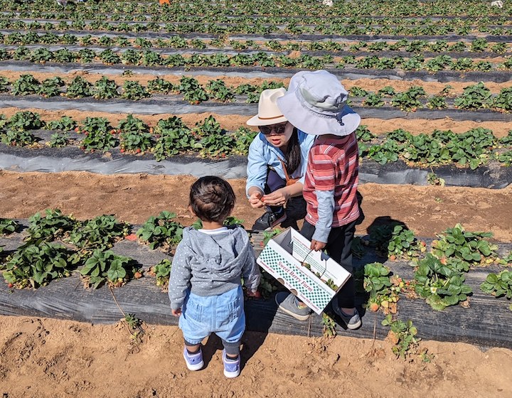 Lina Lie with kids on a Fruit Farm in Texas