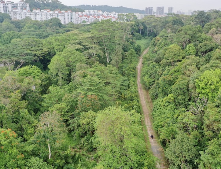 Explore Singapore Rail Corridor: Nature Hiking, Forgotten Railway Tracks & IG-Worthy Cafe