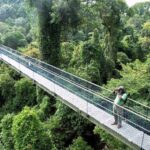 date ideas singapore - MacRitchie Reservoir Park - Image credit: NParks
