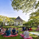 picnic singapore - picnic spots singapore - singapore botanic gardens