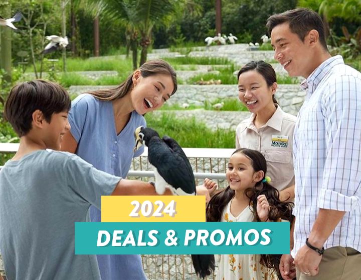 best deals and promos singapore