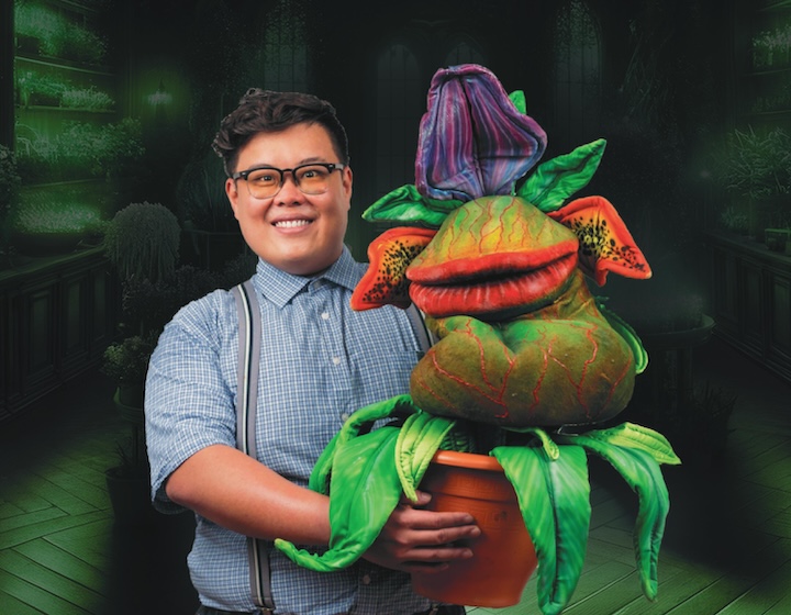 little shop of horrors plant seymour